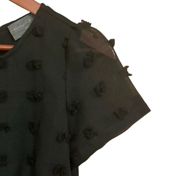 Anthropologie Sunday in Brooklyn Glenda Pom Swiss Dot A-line Black Dress - Picture 8 of 15